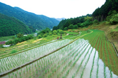 原風景を残した美しい山村