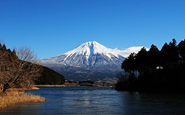 ふじやま文化の町