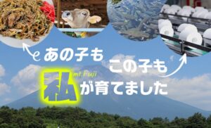 地域と街のニュース・コラムサイト「Jタウンネット」と連携。富士宮市の特集ページを作りました！