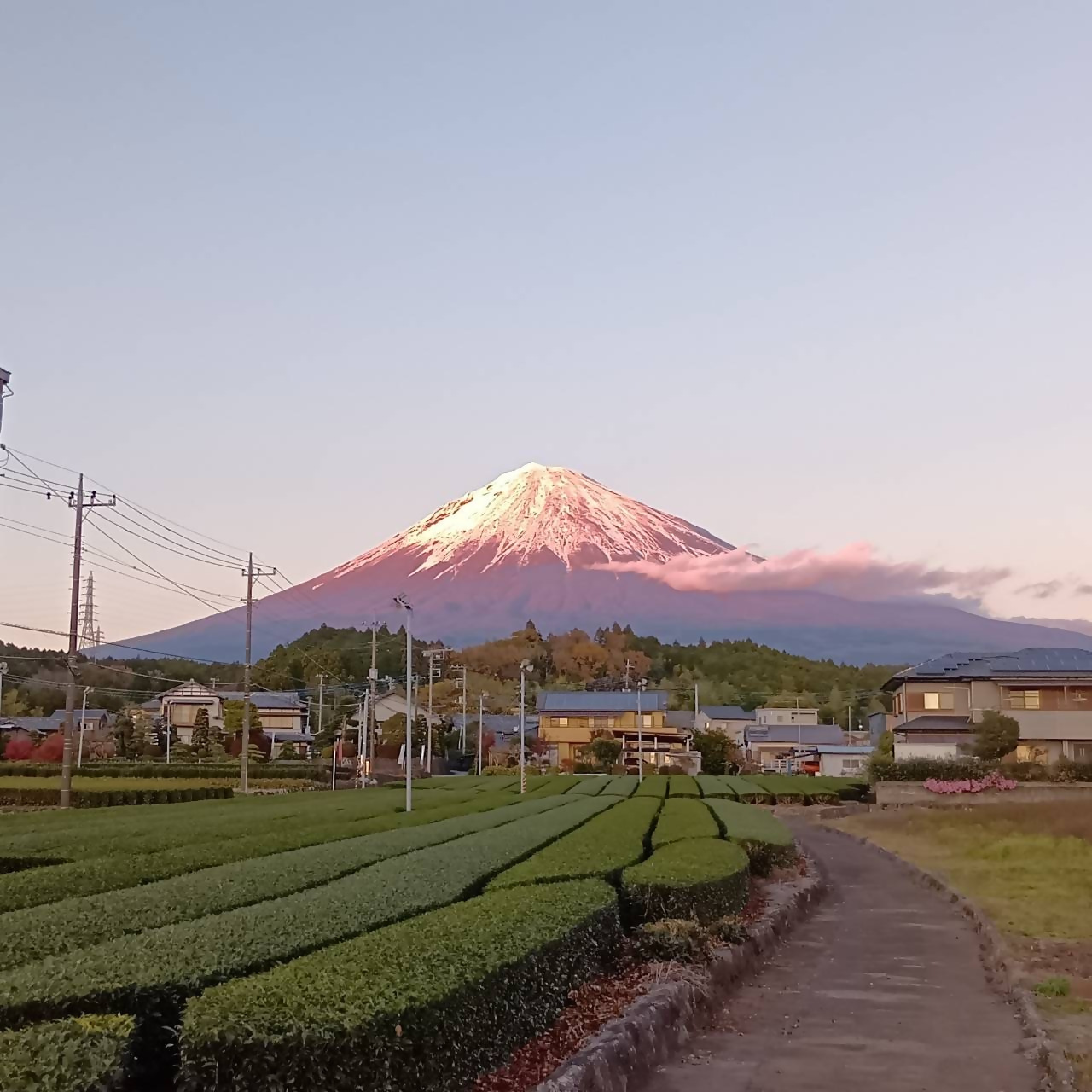 センチュリー21 株式会社Grand cube